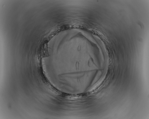 X0000110320661200906111454