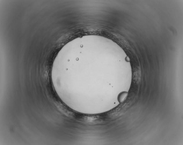 X0000110320662200906111454