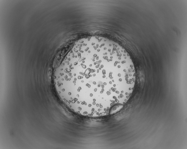 X0000110320664200906111454