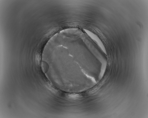 X0000110320669200906111454