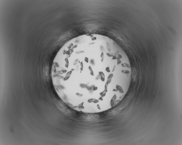 X0000110320670200906111454