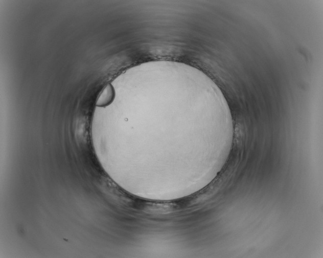 X0000110320671200906111454