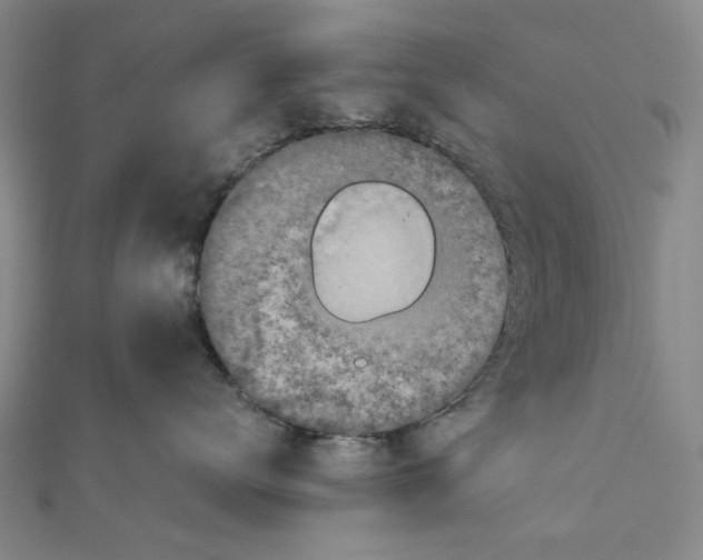 X0000110320672200906111454