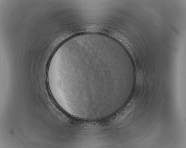 X0000110320673200906111453