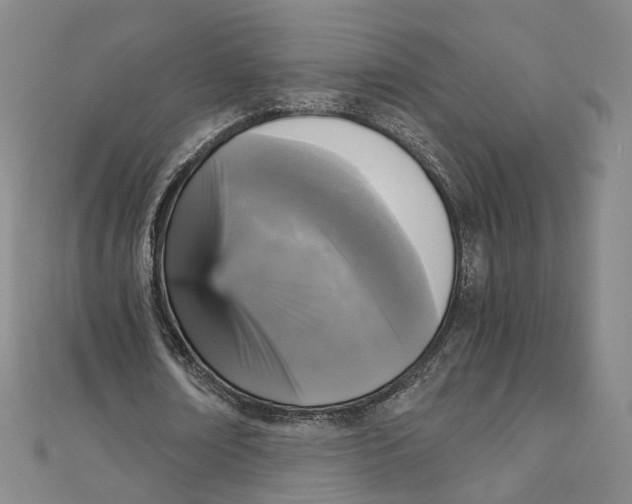 X0000110320674200906111453