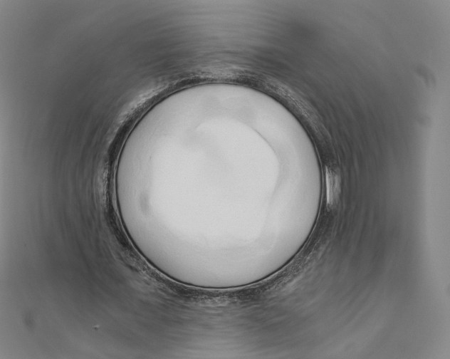 X0000110320675200906111453