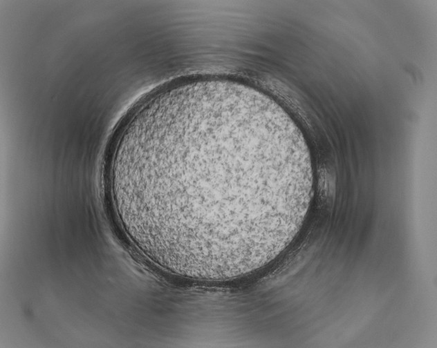 X0000110320676200906111453