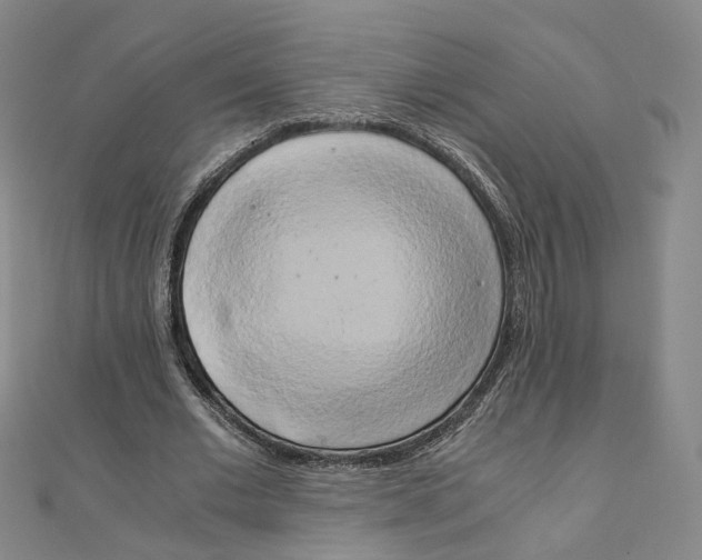 X0000110320677200906111453