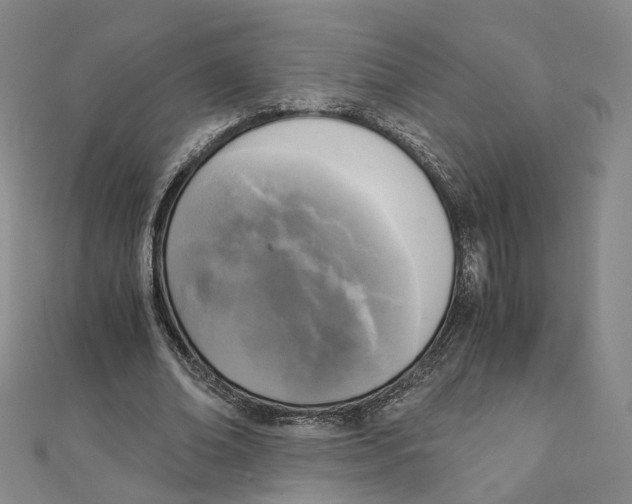 X0000110320678200906111453