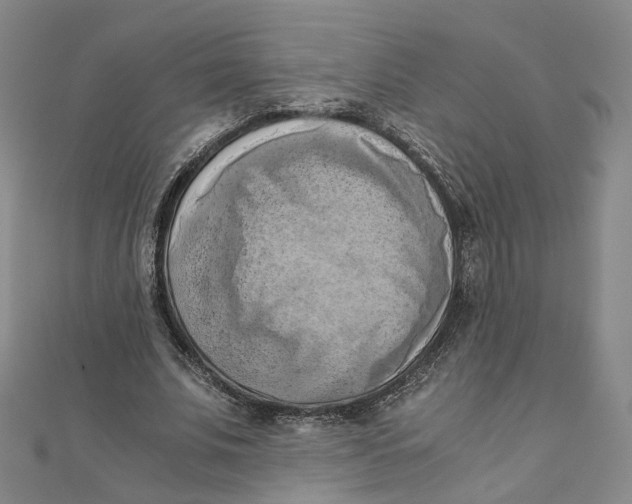 X0000110320679200906111453