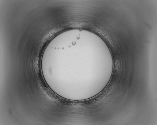 X0000110320682200906111453