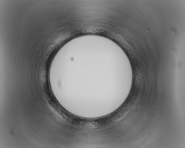 X0000110320683200906111453