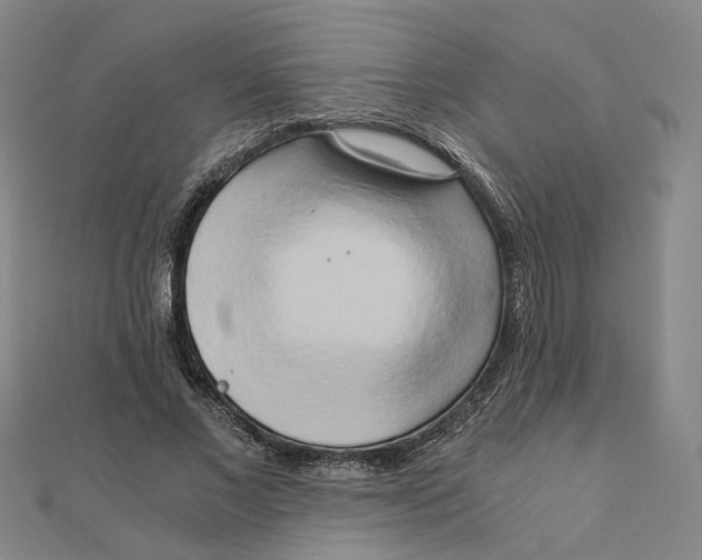 X0000110320685200906111453