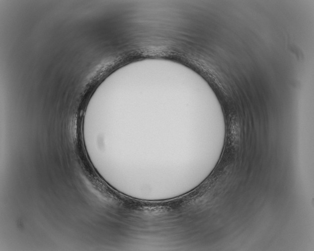 X0000110320686200906111453