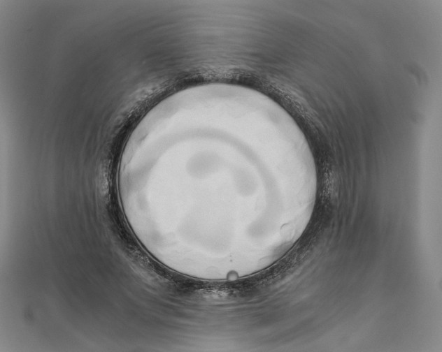 X0000110320687200906111453