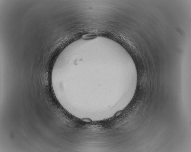 X0000110320689200906111453