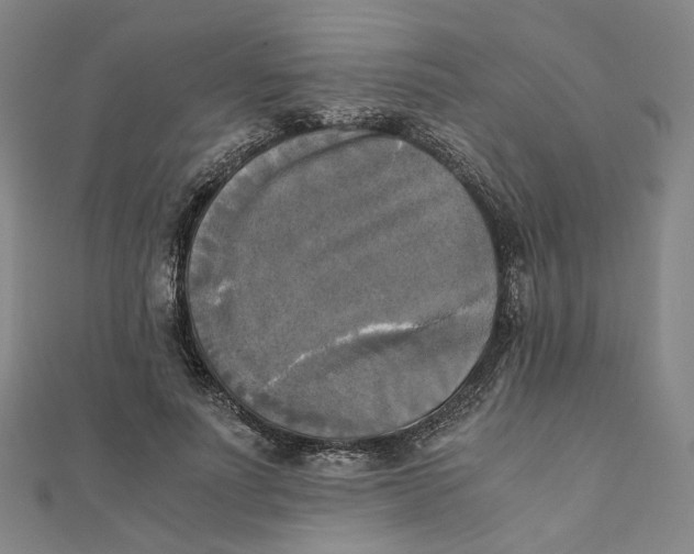 X0000110320691200906111453