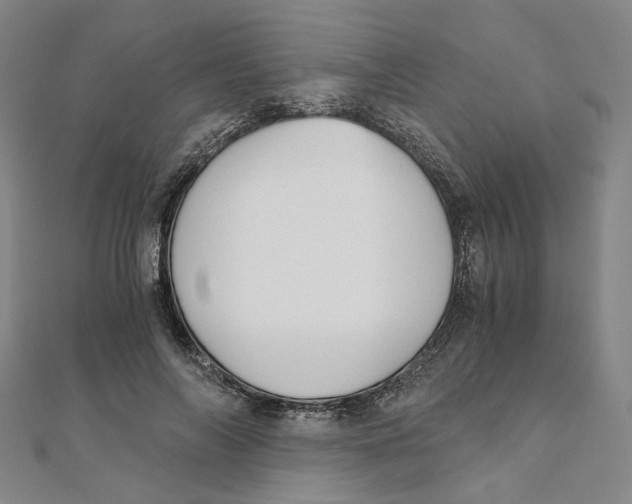 X0000110320694200906111453