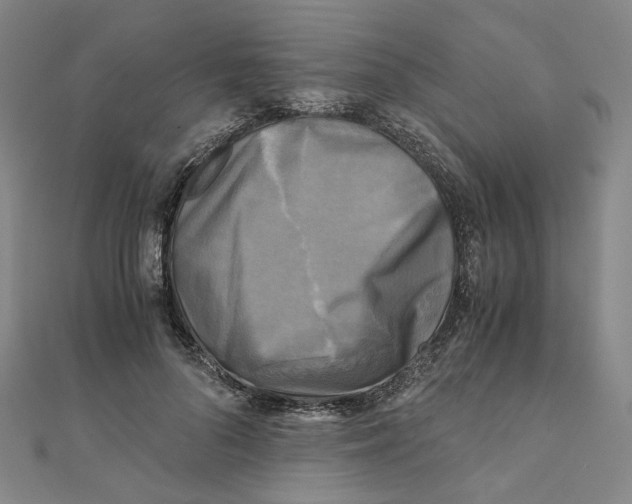 X0000110320696200906111453