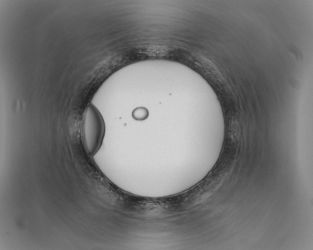 X0000110320697200906111453