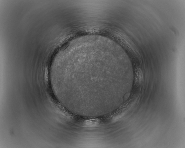 X0000110320700200906111453