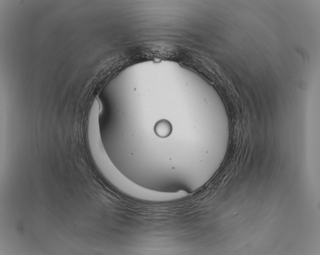 X0000110320701200906111453