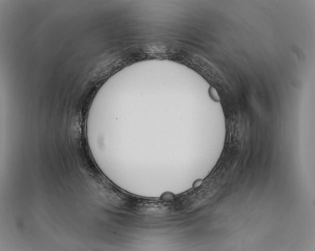 X0000110320702200906111453