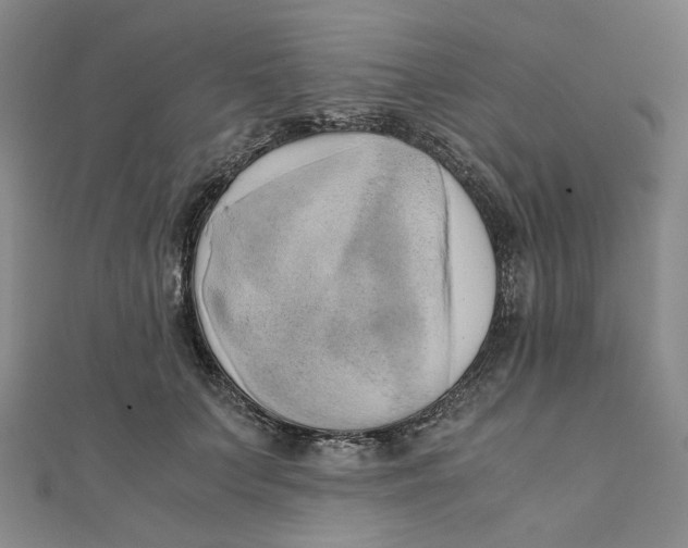 X0000110320703200906111453