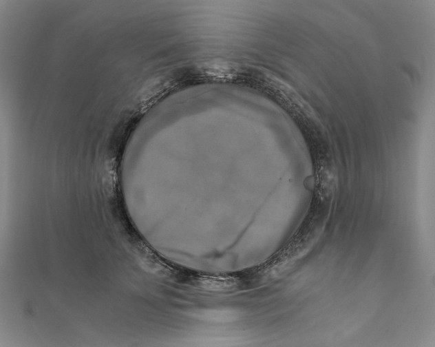 X0000110320707200906111453