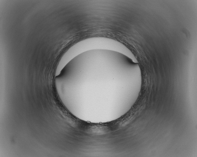 X0000110320708200906111453