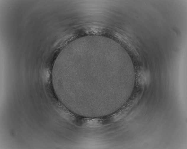 X0000110320709200906111453