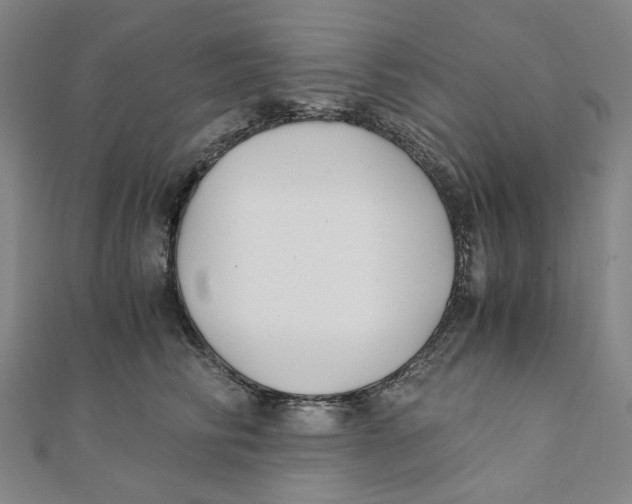 X0000110320710200906111453