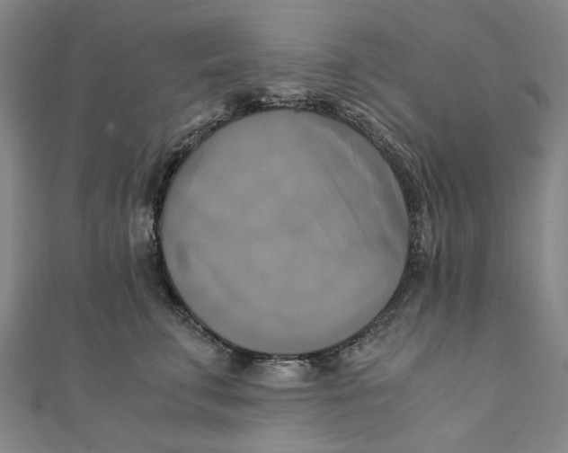 X0000110320711200906111453