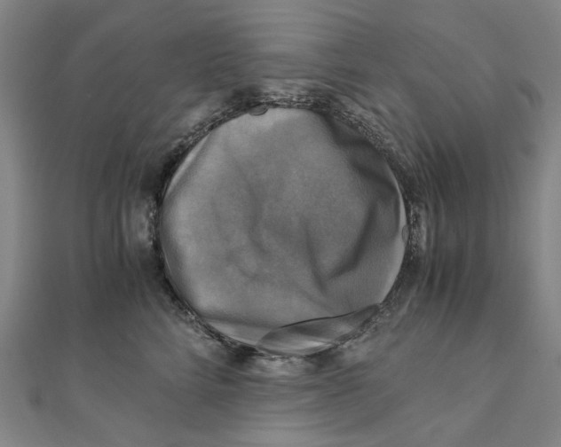 X0000110320712200906111453