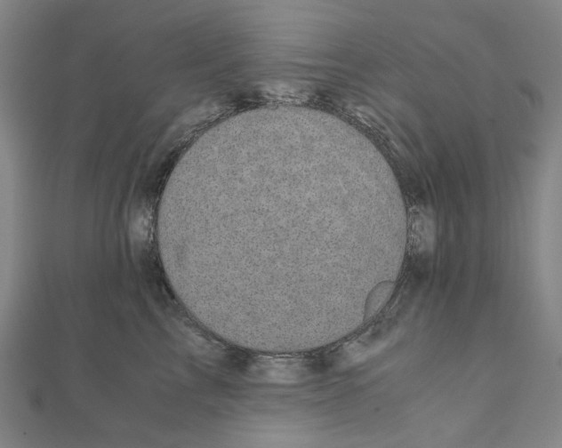 X0000110320713200906111453