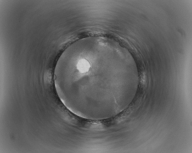 X0000110320715200906111453