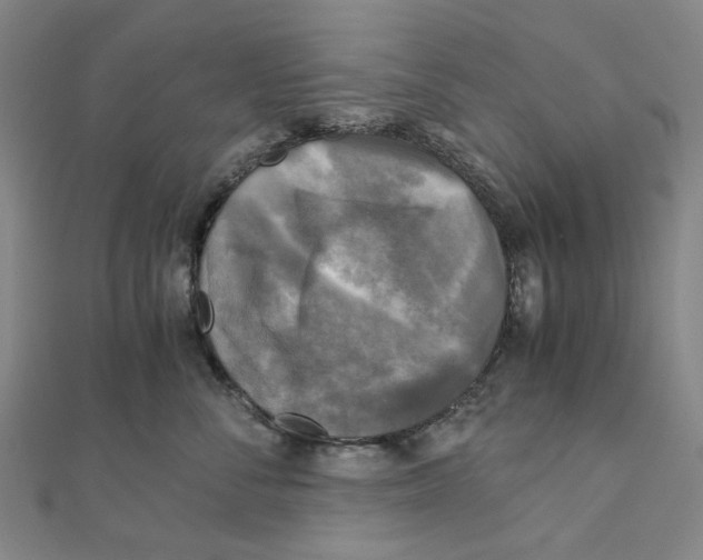 X0000110320716200906111453