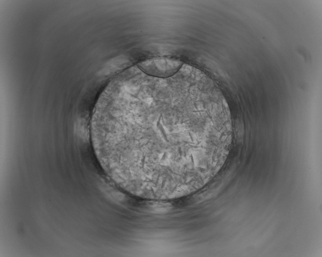 X0000110320719200906111453