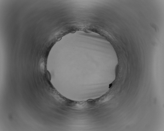 X0000110320720200906111453