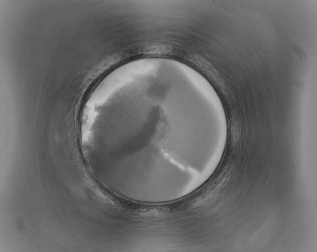 X0000110320721200906111452