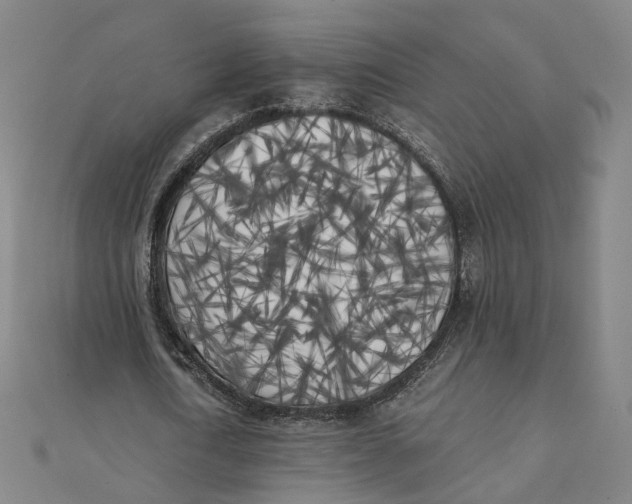 X0000110320722200906111452