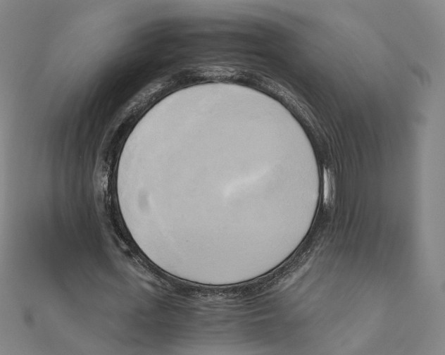 X0000110320723200906111452