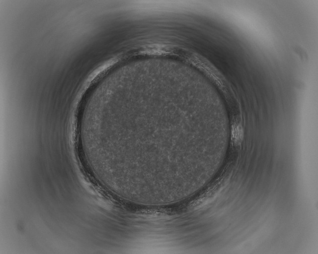 X0000110320724200906111452