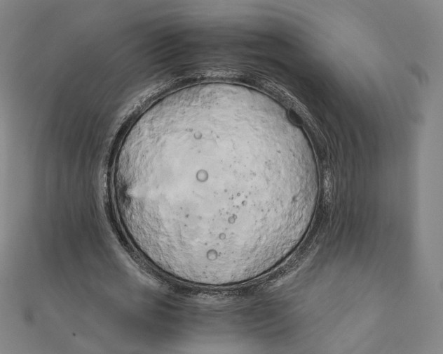 X0000110320725200906111452