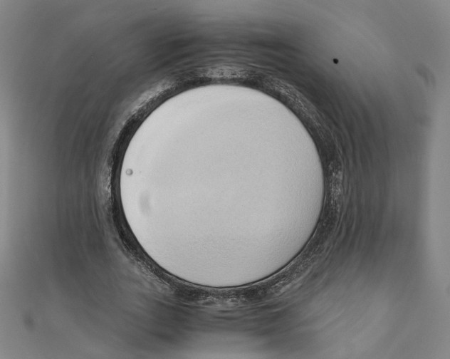 X0000110320727200906111452