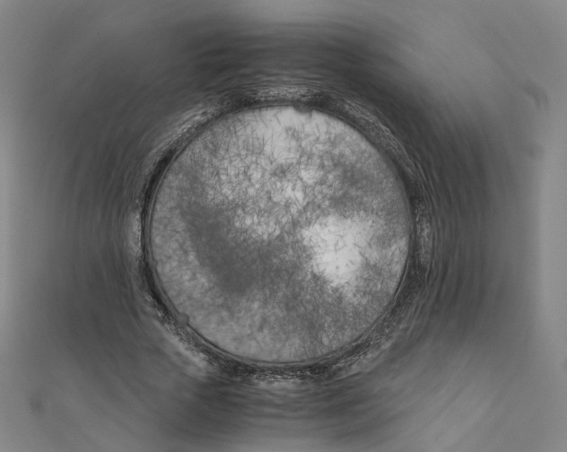 X0000110320729200906111452