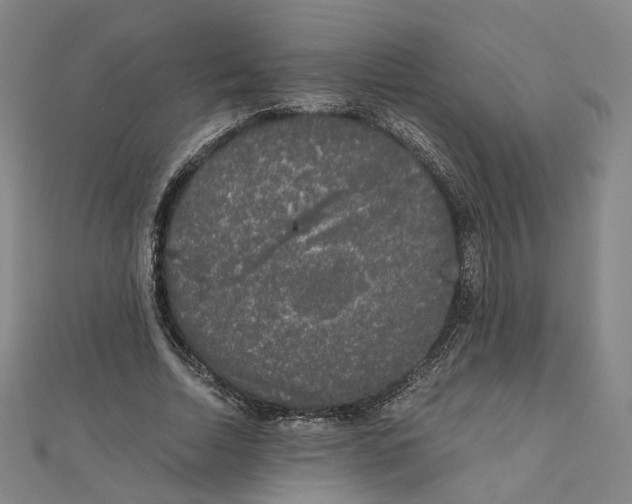 X0000110320730200906111452