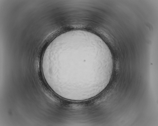 X0000110320733200906111452