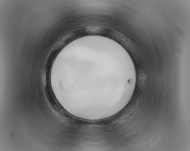 X0000110320734200906111452