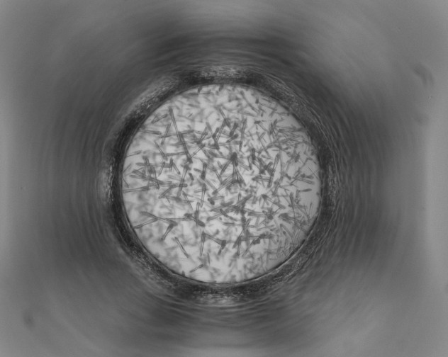 X0000110320735200906111452